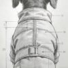 Luxury Pet Outfit Design Sketches - Personalized Concepts (Manufacturing Excluded)