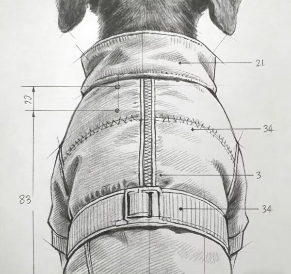 Luxury Pet Outfit Design Sketches - Personalized Concepts (Manufacturing Excluded)