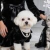 Pet Formal Dress & Tuxedo Outfit – Elegant Cat Dog Costume with Bow