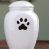 Heart & Paw™ Dog Remembrance Box