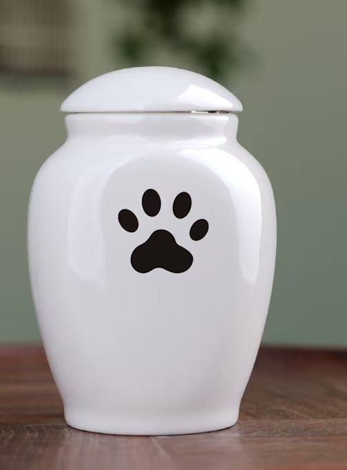 Heart & Paw™ Dog Remembrance Box