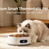 Smart Pet Bowl 35°C 🐶🐱 Keep Food Warm All Day!