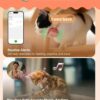 Pet tracking devices that allow you to contact your pet if it gets lost.