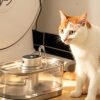 Automatic Cat Water Fountain – Wireless Smart Pet Drinking Fountain