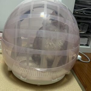A New Era in Pet Grooming | Premium Foldable Pet Dryer