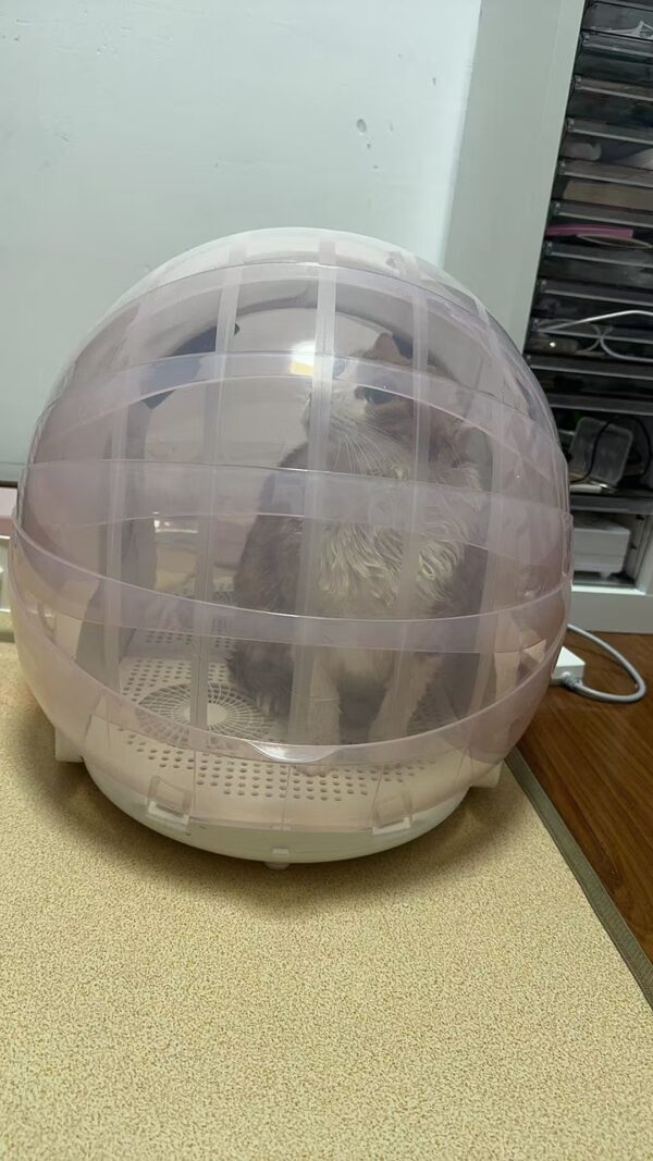 A New Era in Pet Grooming | Premium Foldable Pet Dryer