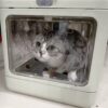 Collapsible Pet Travel Carrier | Portable Kennel for Cats & Small Dogs
