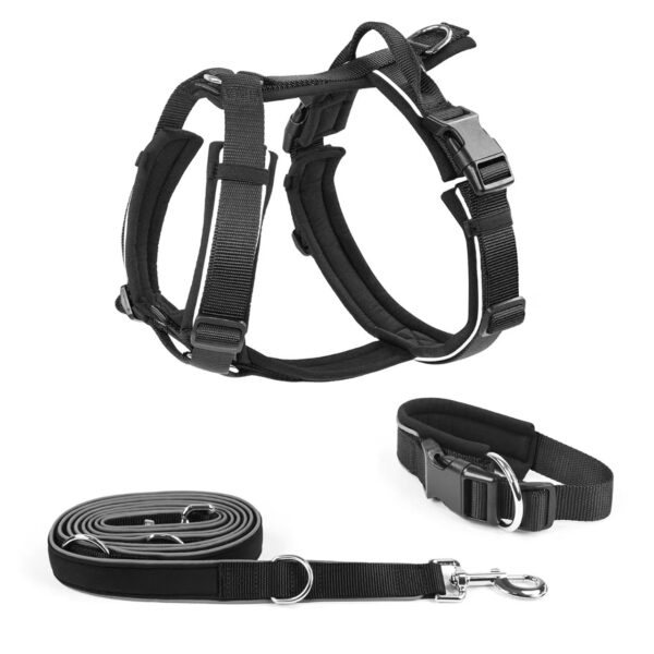 No Pull Reflective Dog Harness & Leash Set - Lightweight Anti-Choke Chest Vest for Outdoor Walking, Running & Night Safety
