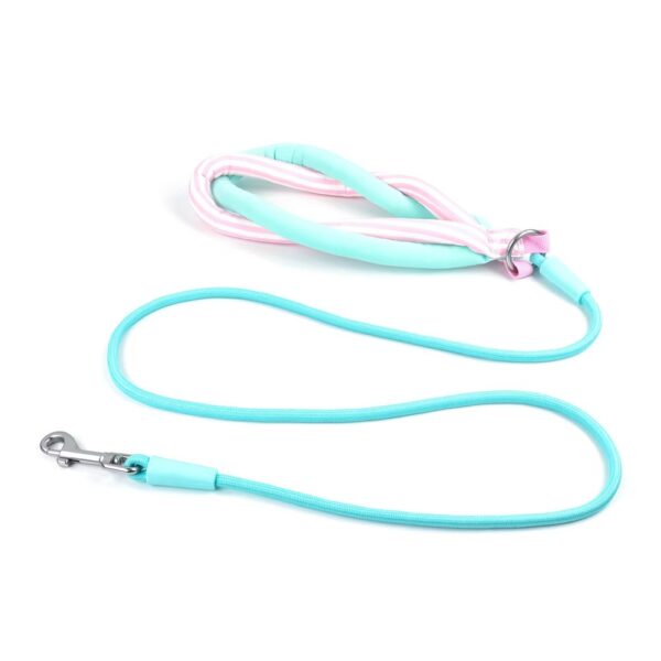 Nylon Braided Dog Leash With Metal Ring