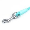 Nylon Braided Dog Leash With Metal Ring