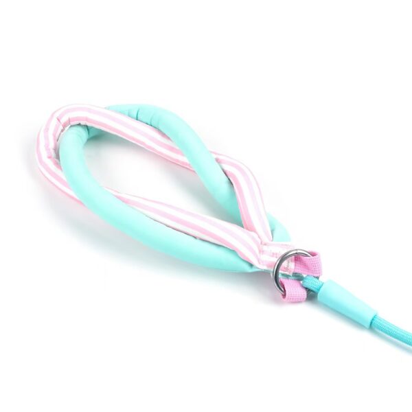 Nylon Braided Dog Leash With Metal Ring