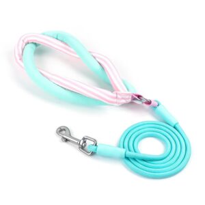 微信图片_20260521214122_45_119 Nylon Braided Dog Leash With Metal Ring