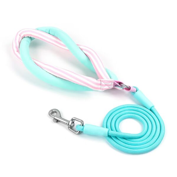 Nylon Braided Dog Leash With Metal Ring