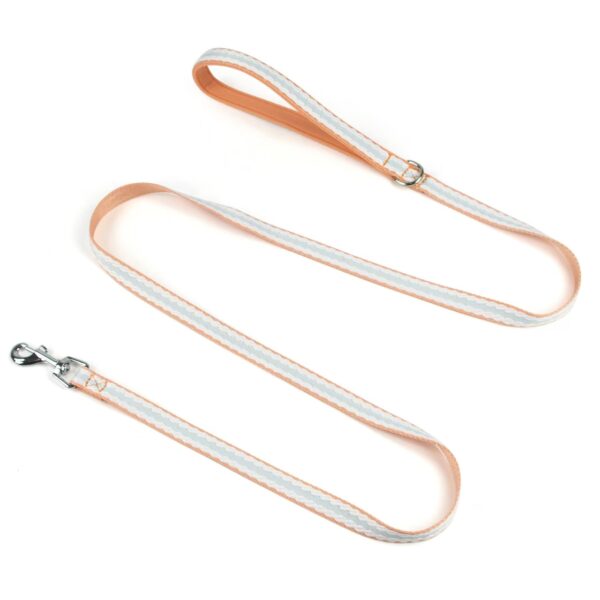 微信图片_20260521220037_56_119 Soft Lining Comfort Dog Walking Rope