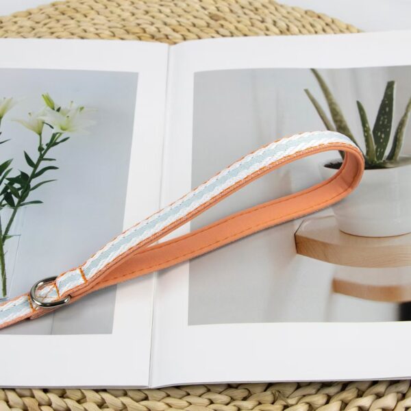 微信图片_20260521220038_57_119 Soft Lining Comfort Dog Walking Rope