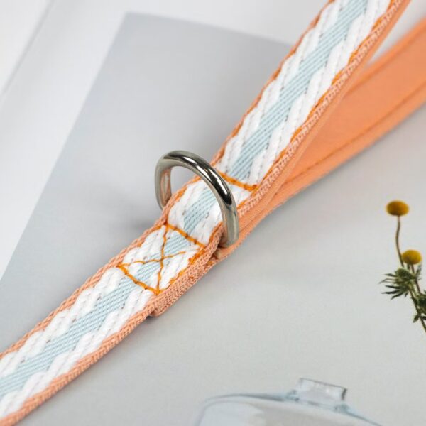 微信图片_20260521220039_58_119 Soft Lining Comfort Dog Walking Rope