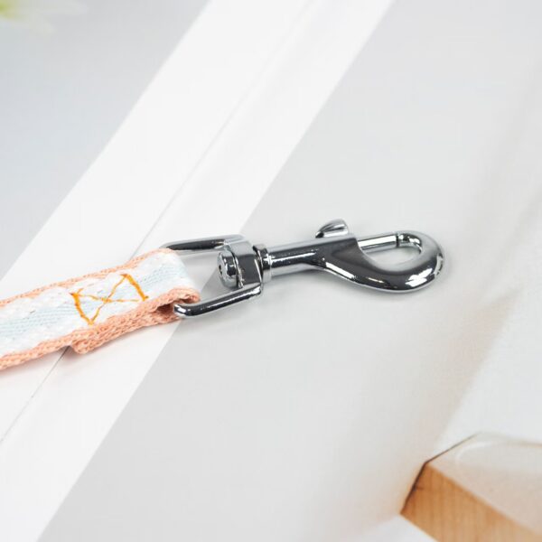 微信图片_20260521220040_59_119 Soft Lining Comfort Dog Walking Rope