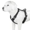 Factory Custom Reflective Vest Dog Harness Adjustable Chest Strap For Small Medium Large Dogs
